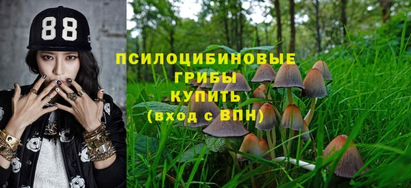 спайс Алзамай