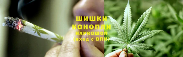 спайс Алзамай