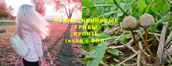 спайс Алзамай