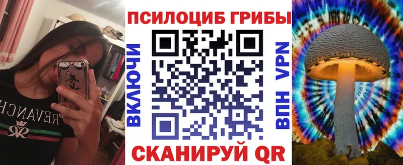 hydra как зайти Сыктывкар Псилоцибиновые грибы прущие грибы